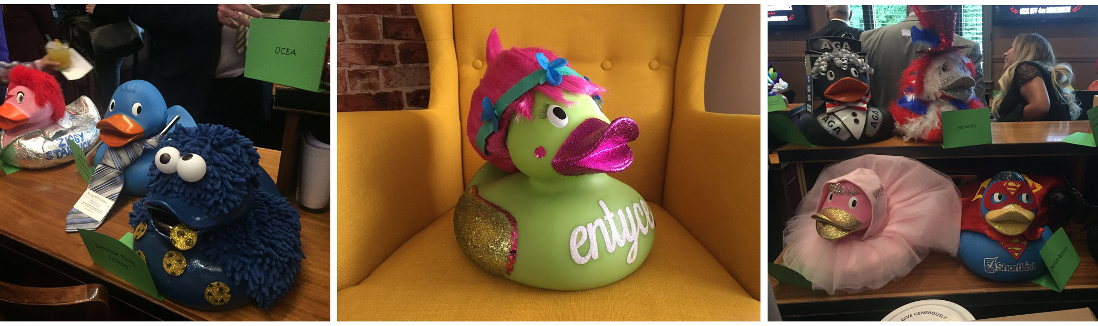 Entyce support the Countess Charity with Poppy the duck