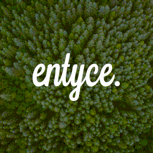 Entyce Creative becomes Chester's first B Corp agency