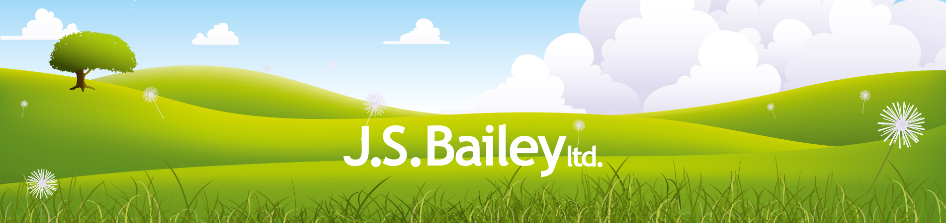 The success of our client J.S. Bailey